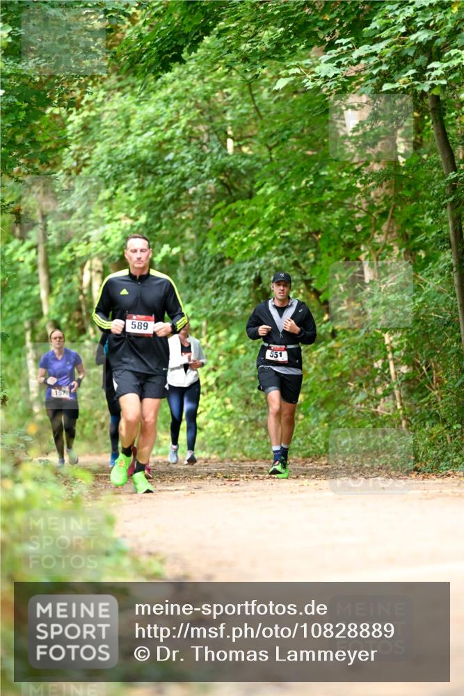 11.10.2026 - Bramfelder Halbmarathon 2026 Dr. Thomas Lammeyer http://msf.ph/oto/10828889 11.10.2026 11:08:32 Laufen 157, 589, 551 meine-sportfotos.de