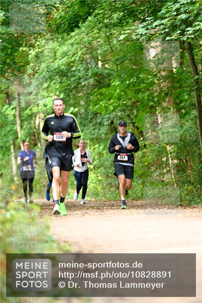 11.10.2026 - Bramfelder Halbmarathon 2026 Dr. Thomas Lammeyer http://msf.ph/oto/10828891 11.10.2026 11:08:32 Laufen 157, 589, 551 meine-sportfotos.de