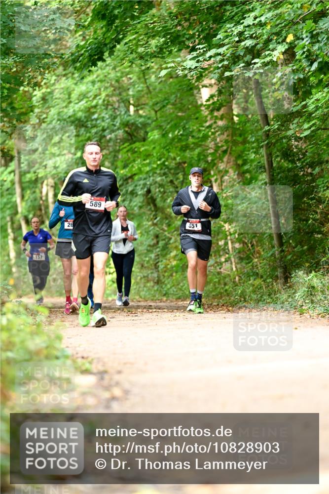 11.10.2026 - Bramfelder Halbmarathon 2026 Dr. Thomas Lammeyer http://msf.ph/oto/10828903 11.10.2026 11:08:34 Laufen 157, 26, 589, 551 meine-sportfotos.de