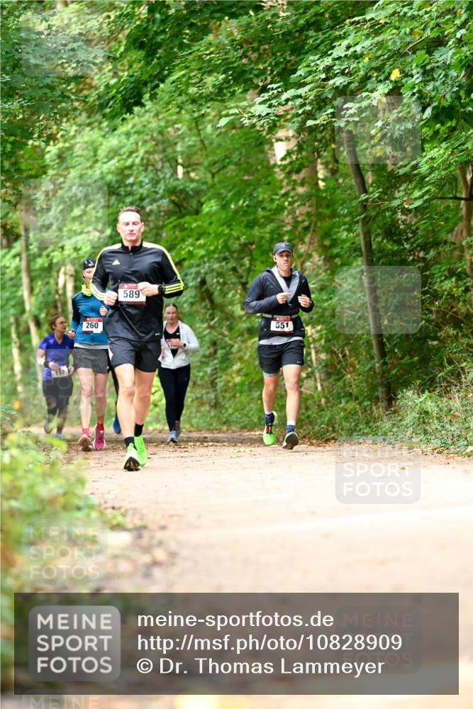 11.10.2026 - Bramfelder Halbmarathon 2026 Dr. Thomas Lammeyer http://msf.ph/oto/10828909 11.10.2026 11:08:34 Laufen 157, 260, 589, 551 meine-sportfotos.de