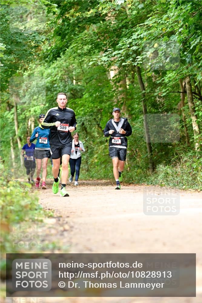 11.10.2026 - Bramfelder Halbmarathon 2026 Dr. Thomas Lammeyer http://msf.ph/oto/10828913 11.10.2026 11:08:34 Laufen 157, 260, 589, 16, 551 meine-sportfotos.de