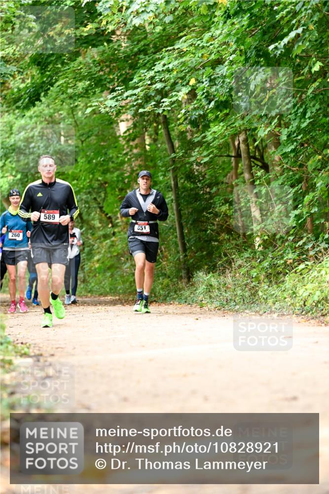 11.10.2026 - Bramfelder Halbmarathon 2026 Dr. Thomas Lammeyer http://msf.ph/oto/10828921 11.10.2026 11:08:35 Laufen 260, 589, 551 meine-sportfotos.de