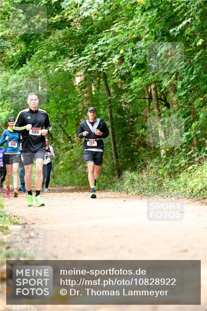 11.10.2026 - Bramfelder Halbmarathon 2026 Dr. Thomas Lammeyer http://msf.ph/oto/10828922 11.10.2026 11:08:35 Laufen 260, 589, 551 meine-sportfotos.de