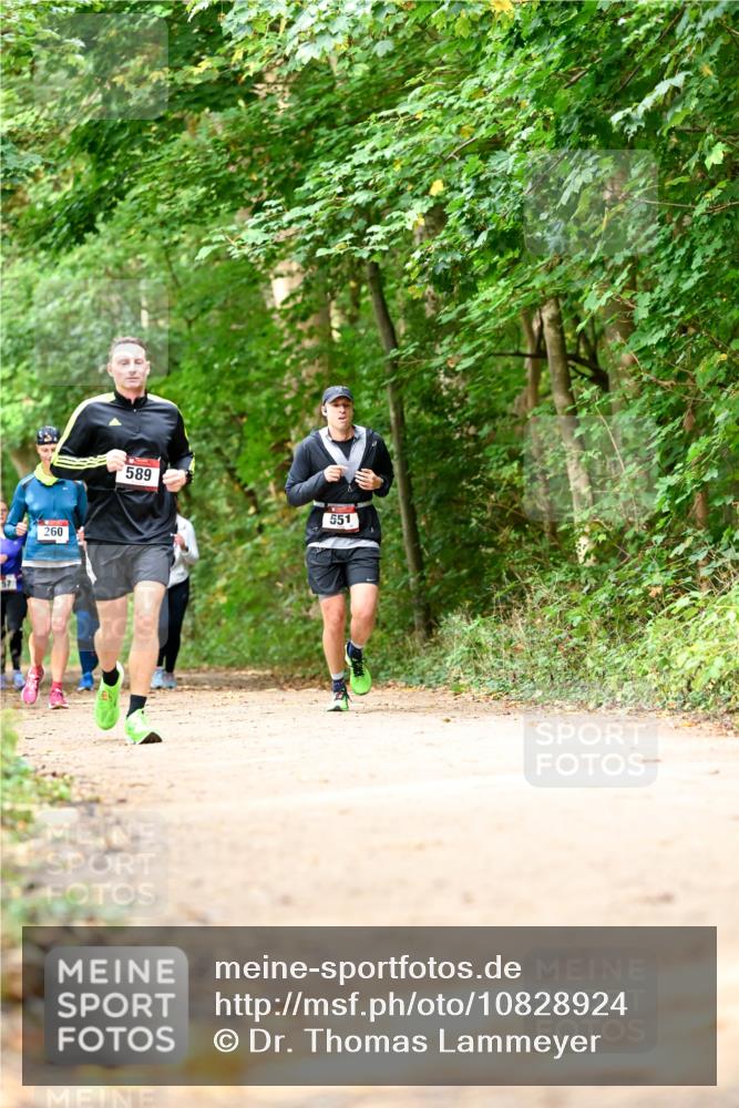 11.10.2026 - Bramfelder Halbmarathon 2026 Dr. Thomas Lammeyer http://msf.ph/oto/10828924 11.10.2026 11:08:35 Laufen 260, 589, 551 meine-sportfotos.de