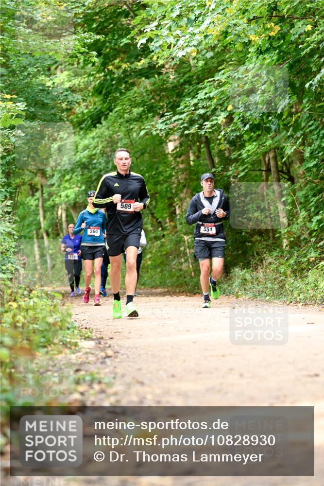 11.10.2026 - Bramfelder Halbmarathon 2026 Dr. Thomas Lammeyer http://msf.ph/oto/10828930 11.10.2026 11:08:36 Laufen 157, 260, 589, 551 meine-sportfotos.de