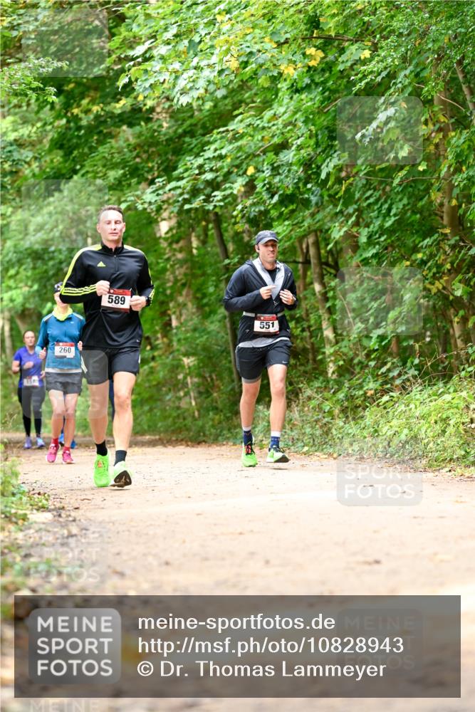11.10.2026 - Bramfelder Halbmarathon 2026 Dr. Thomas Lammeyer http://msf.ph/oto/10828943 11.10.2026 11:08:37 Laufen 260, 589, 551 meine-sportfotos.de
