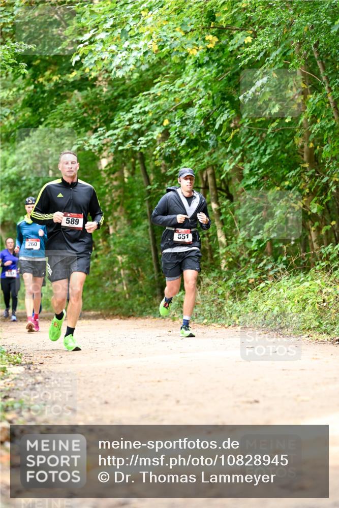 11.10.2026 - Bramfelder Halbmarathon 2026 Dr. Thomas Lammeyer http://msf.ph/oto/10828945 11.10.2026 11:08:37 Laufen 260, 589, 551 meine-sportfotos.de