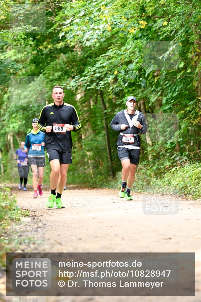 11.10.2026 - Bramfelder Halbmarathon 2026 Dr. Thomas Lammeyer http://msf.ph/oto/10828947 11.10.2026 11:08:37 Laufen 260, 589, 551 meine-sportfotos.de