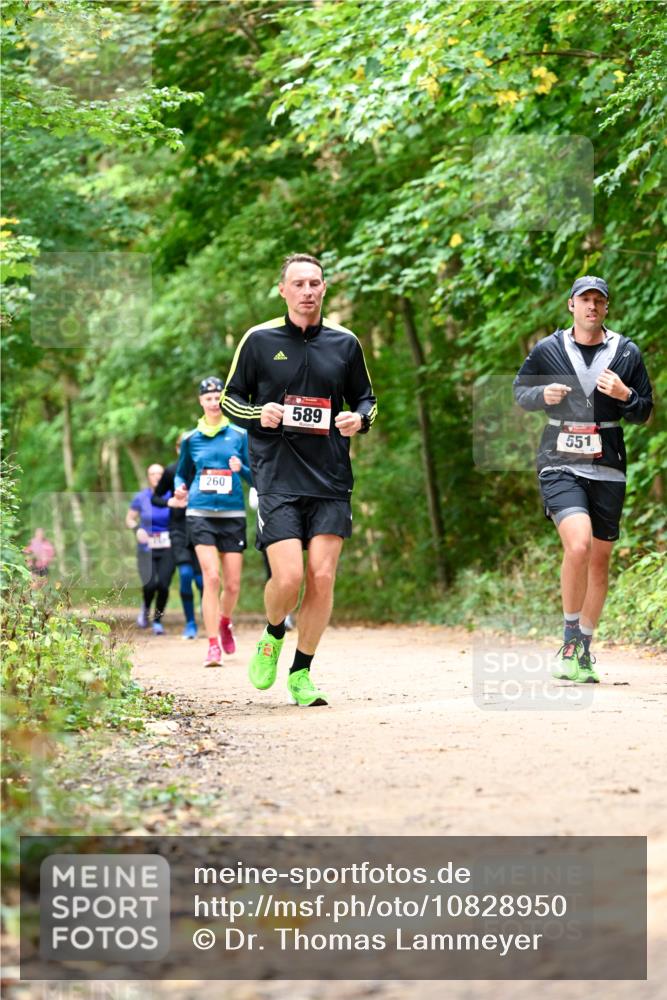 11.10.2026 - Bramfelder Halbmarathon 2026 Dr. Thomas Lammeyer http://msf.ph/oto/10828950 11.10.2026 11:08:38 Laufen 260, 589, 551 meine-sportfotos.de