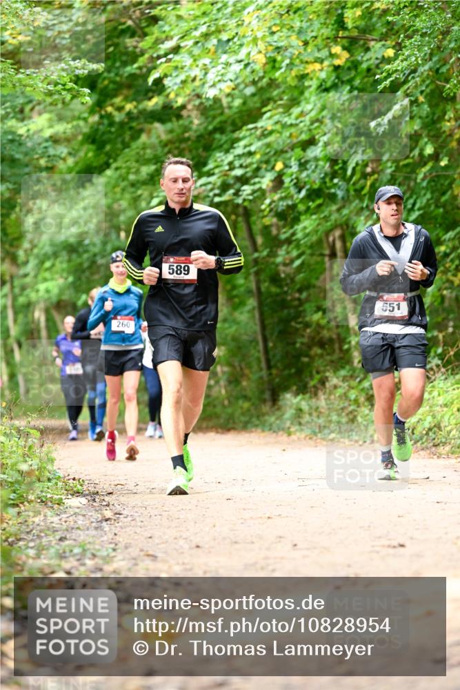 11.10.2026 - Bramfelder Halbmarathon 2026 Dr. Thomas Lammeyer http://msf.ph/oto/10828954 11.10.2026 11:08:38 Laufen 260, 589, 551 meine-sportfotos.de