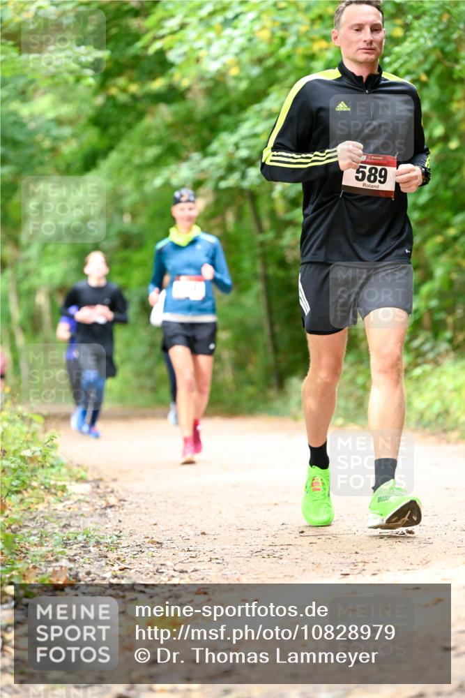 11.10.2026 - Bramfelder Halbmarathon 2026 Dr. Thomas Lammeyer http://msf.ph/oto/10828979 11.10.2026 11:08:40 Laufen 589 meine-sportfotos.de