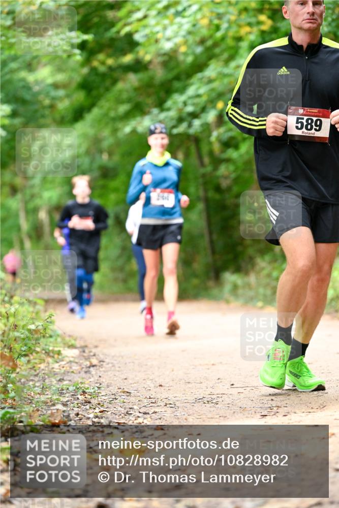 11.10.2026 - Bramfelder Halbmarathon 2026 Dr. Thomas Lammeyer http://msf.ph/oto/10828982 11.10.2026 11:08:40 Laufen 589 meine-sportfotos.de