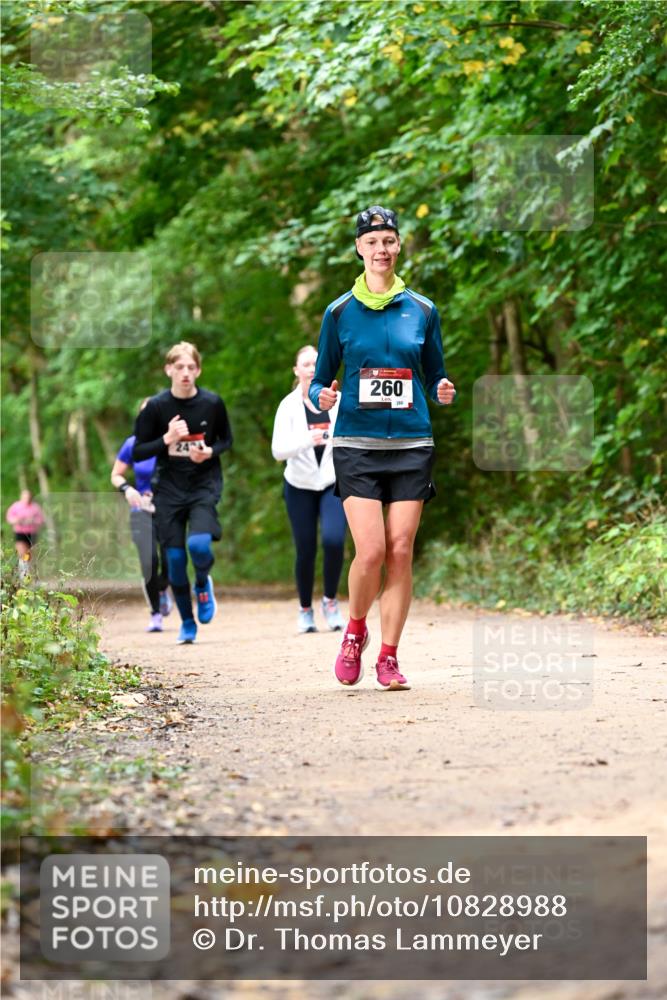 11.10.2026 - Bramfelder Halbmarathon 2026 Dr. Thomas Lammeyer http://msf.ph/oto/10828988 11.10.2026 11:08:41 Laufen 24, 260, 280 meine-sportfotos.de