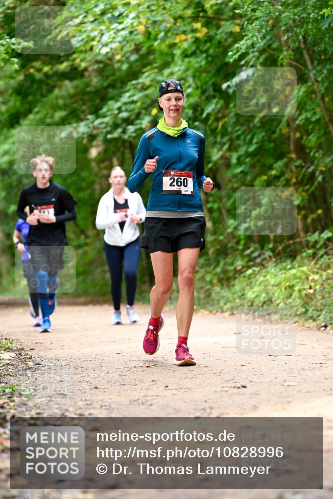 11.10.2026 - Bramfelder Halbmarathon 2026 Dr. Thomas Lammeyer http://msf.ph/oto/10828996 11.10.2026 11:08:42 Laufen 260, 280 meine-sportfotos.de