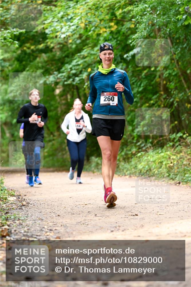 11.10.2026 - Bramfelder Halbmarathon 2026 Dr. Thomas Lammeyer http://msf.ph/oto/10829000 11.10.2026 11:08:42 Laufen 260 meine-sportfotos.de