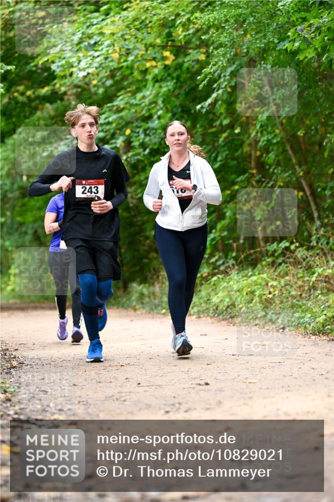 11.10.2026 - Bramfelder Halbmarathon 2026 Dr. Thomas Lammeyer http://msf.ph/oto/10829021 11.10.2026 11:08:44 Laufen 243 meine-sportfotos.de
