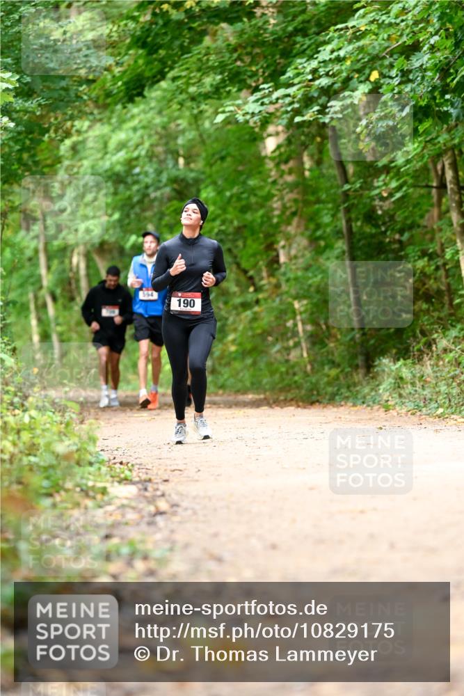 11.10.2026 - Bramfelder Halbmarathon 2026 Dr. Thomas Lammeyer http://msf.ph/oto/10829175 11.10.2026 11:09:04 Laufen 394, 190 meine-sportfotos.de