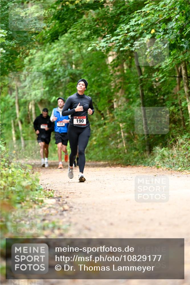 11.10.2026 - Bramfelder Halbmarathon 2026 Dr. Thomas Lammeyer http://msf.ph/oto/10829177 11.10.2026 11:09:04 Laufen 594, 190 meine-sportfotos.de