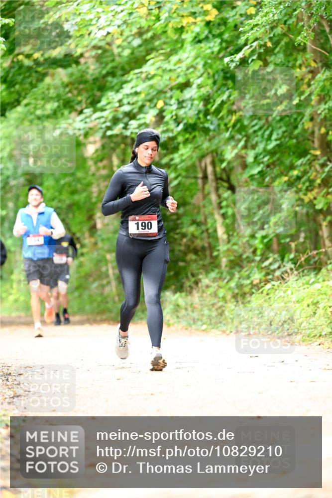 11.10.2026 - Bramfelder Halbmarathon 2026 Dr. Thomas Lammeyer http://msf.ph/oto/10829210 11.10.2026 11:09:07 Laufen 190 meine-sportfotos.de