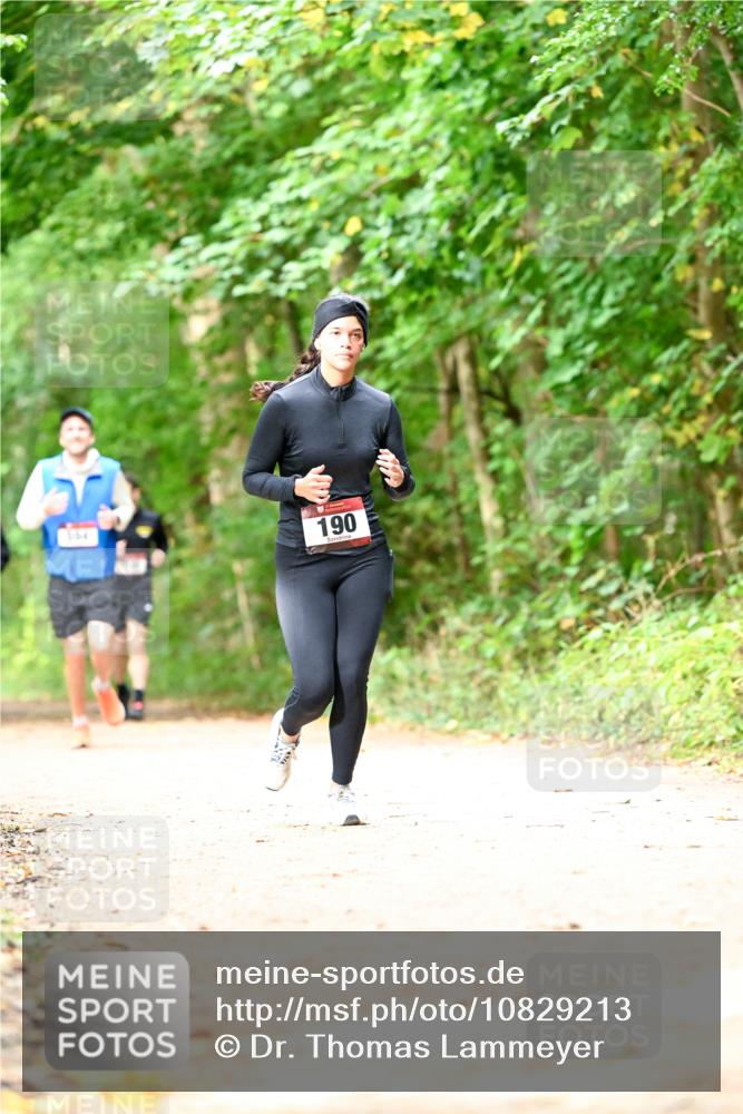 11.10.2026 - Bramfelder Halbmarathon 2026 Dr. Thomas Lammeyer http://msf.ph/oto/10829213 11.10.2026 11:09:07 Laufen 190 meine-sportfotos.de