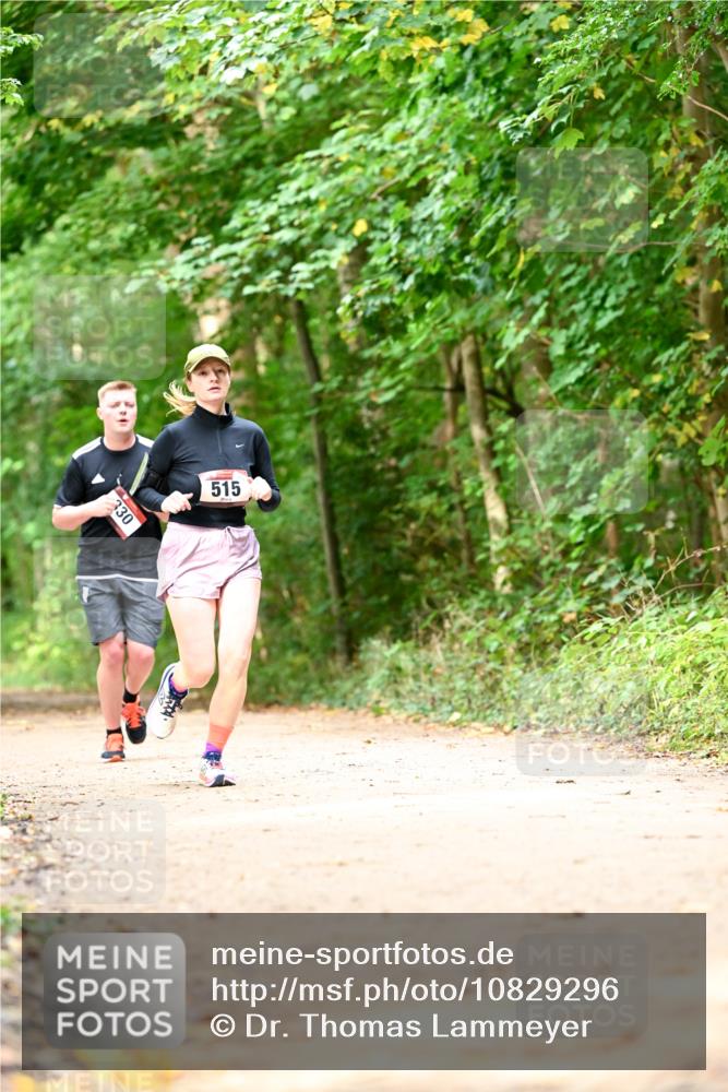 11.10.2026 - Bramfelder Halbmarathon 2026 Dr. Thomas Lammeyer http://msf.ph/oto/10829296 11.10.2026 11:09:36 Laufen 330, 515 meine-sportfotos.de