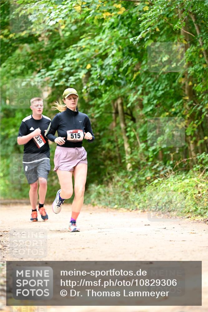 11.10.2026 - Bramfelder Halbmarathon 2026 Dr. Thomas Lammeyer http://msf.ph/oto/10829306 11.10.2026 11:09:37 Laufen 330, 515 meine-sportfotos.de