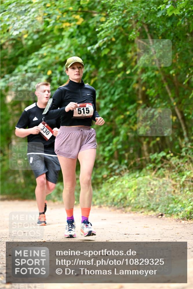 11.10.2026 - Bramfelder Halbmarathon 2026 Dr. Thomas Lammeyer http://msf.ph/oto/10829325 11.10.2026 11:09:38 Laufen 330, 279, 515 meine-sportfotos.de