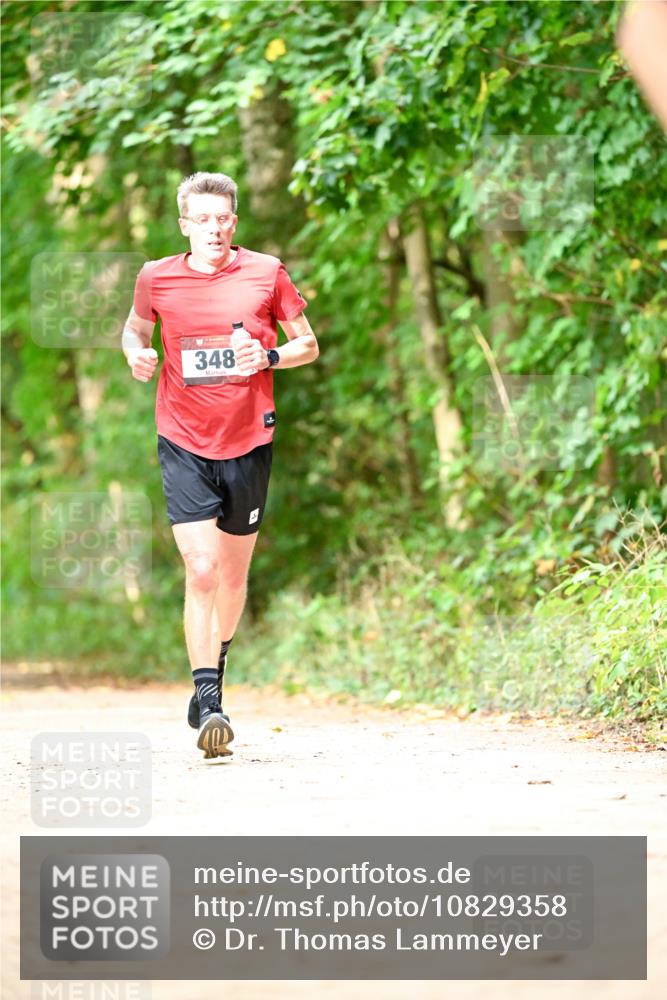 11.10.2026 - Bramfelder Halbmarathon 2026 Dr. Thomas Lammeyer http://msf.ph/oto/10829358 11.10.2026 11:09:59 Laufen 348 meine-sportfotos.de