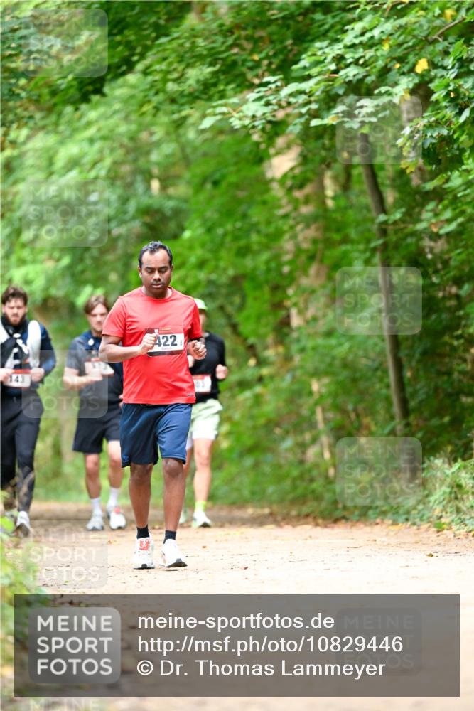 11.10.2026 - Bramfelder Halbmarathon 2026 Dr. Thomas Lammeyer http://msf.ph/oto/10829446 11.10.2026 11:10:33 Laufen 143, 422 meine-sportfotos.de