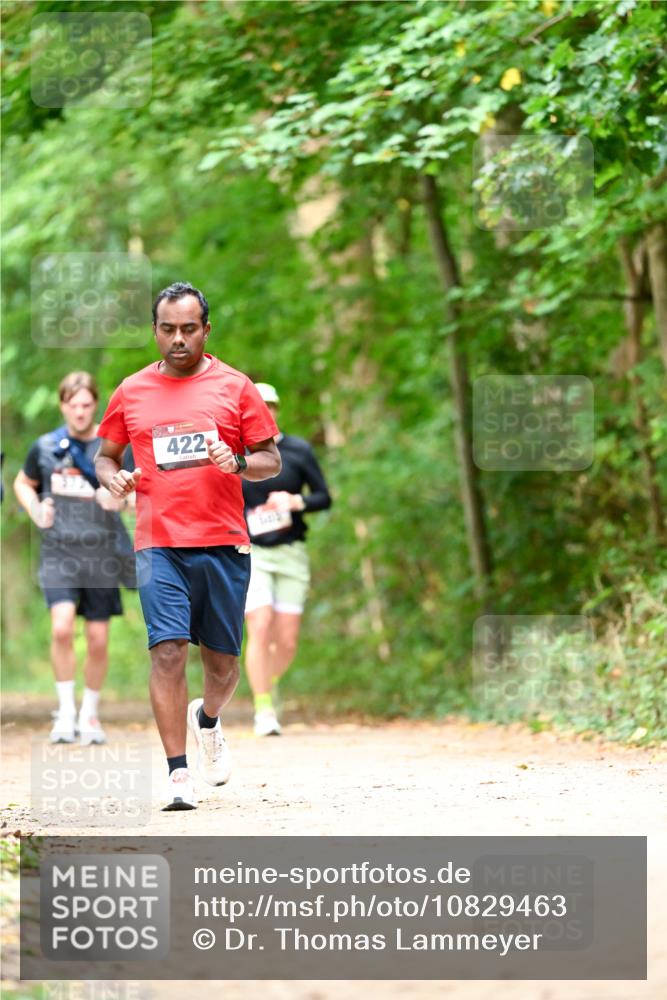 11.10.2026 - Bramfelder Halbmarathon 2026 Dr. Thomas Lammeyer http://msf.ph/oto/10829463 11.10.2026 11:10:34 Laufen 422 meine-sportfotos.de