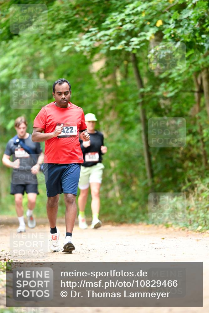 11.10.2026 - Bramfelder Halbmarathon 2026 Dr. Thomas Lammeyer http://msf.ph/oto/10829466 11.10.2026 11:10:35 Laufen 422 meine-sportfotos.de