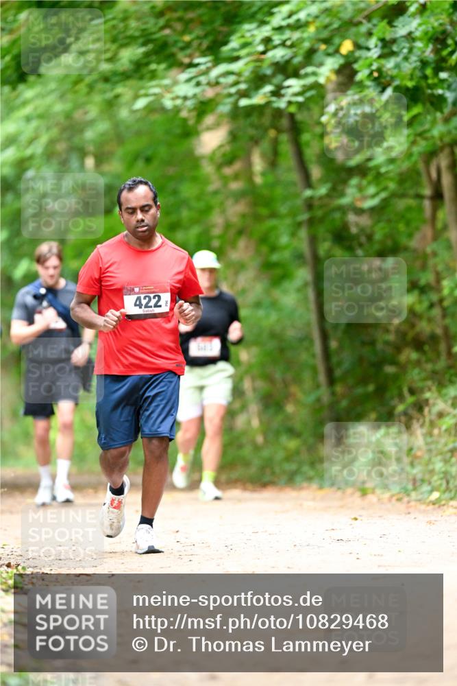 11.10.2026 - Bramfelder Halbmarathon 2026 Dr. Thomas Lammeyer http://msf.ph/oto/10829468 11.10.2026 11:10:35 Laufen 422 meine-sportfotos.de