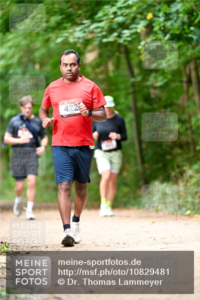11.10.2026 - Bramfelder Halbmarathon 2026 Dr. Thomas Lammeyer http://msf.ph/oto/10829481 11.10.2026 11:10:36 Laufen 422 meine-sportfotos.de