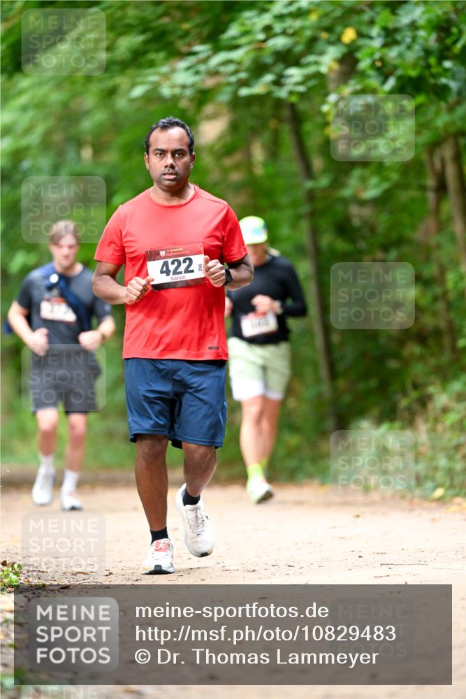 11.10.2026 - Bramfelder Halbmarathon 2026 Dr. Thomas Lammeyer http://msf.ph/oto/10829483 11.10.2026 11:10:36 Laufen 422 meine-sportfotos.de