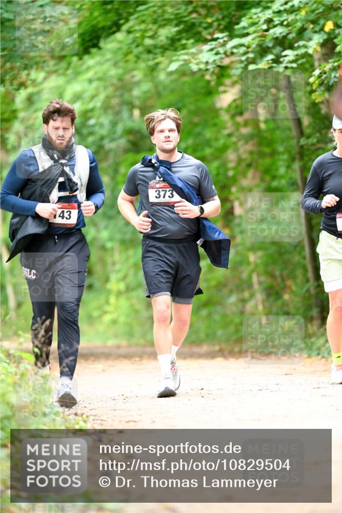 11.10.2026 - Bramfelder Halbmarathon 2026 Dr. Thomas Lammeyer http://msf.ph/oto/10829504 11.10.2026 11:10:38 Laufen 43, 373 meine-sportfotos.de