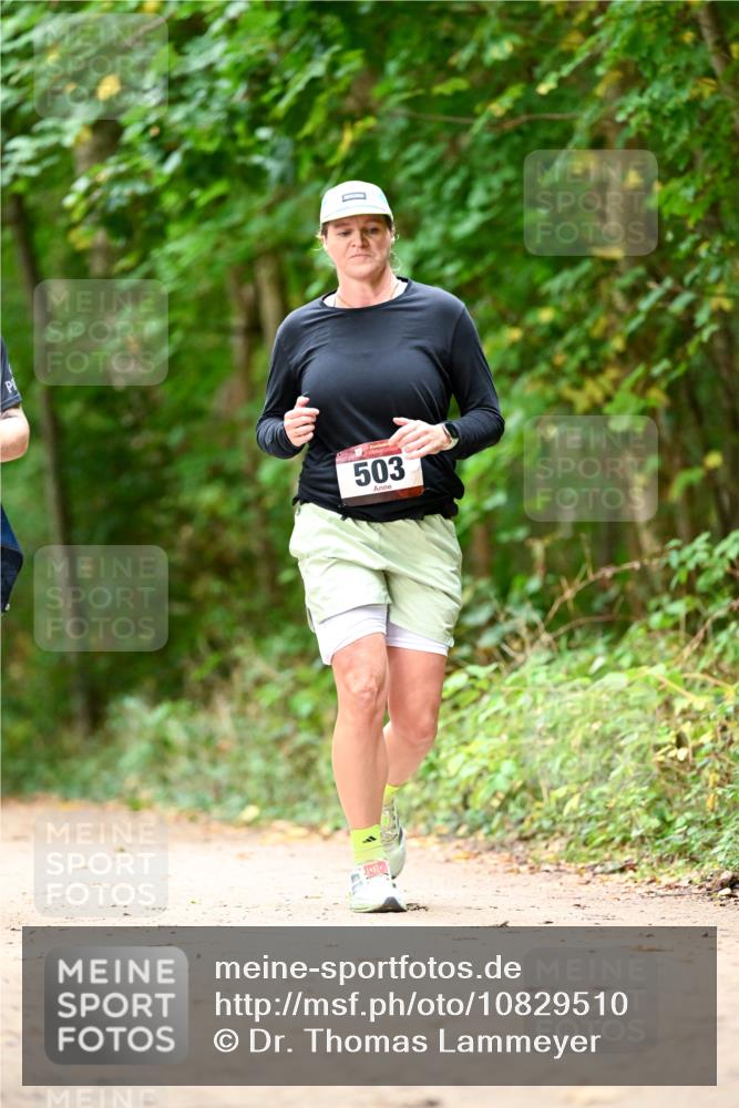 11.10.2026 - Bramfelder Halbmarathon 2026 Dr. Thomas Lammeyer http://msf.ph/oto/10829510 11.10.2026 11:10:40 Laufen 503 meine-sportfotos.de