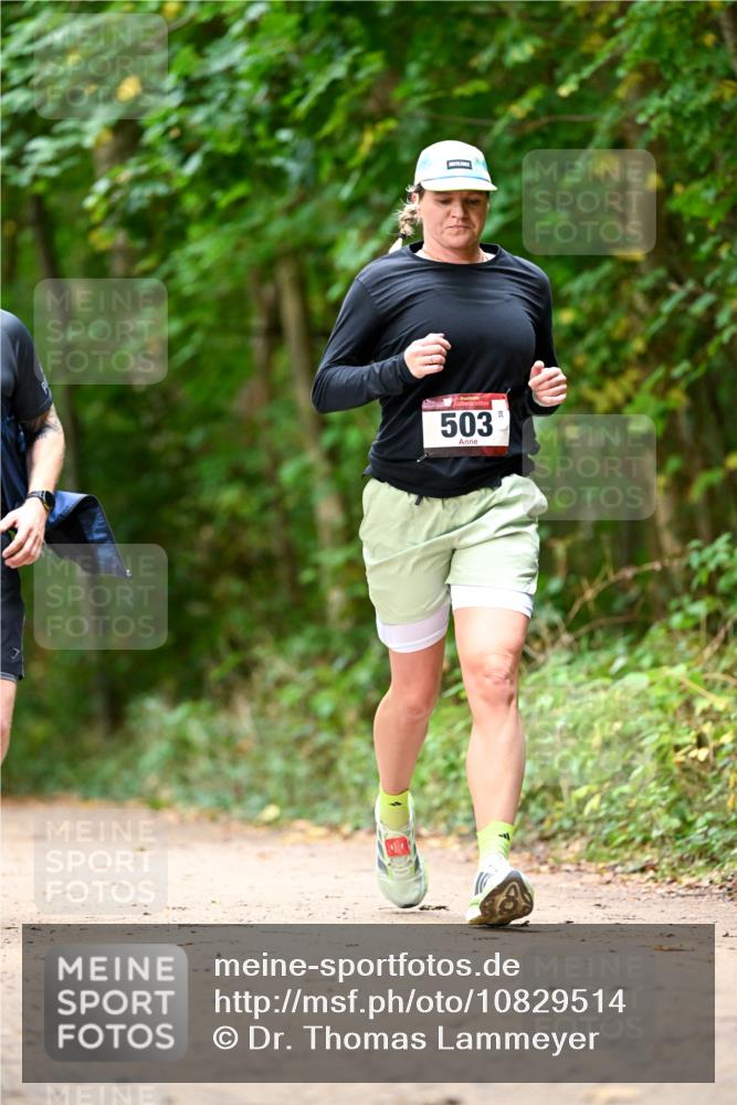 11.10.2026 - Bramfelder Halbmarathon 2026 Dr. Thomas Lammeyer http://msf.ph/oto/10829514 11.10.2026 11:10:40 Laufen 503 meine-sportfotos.de