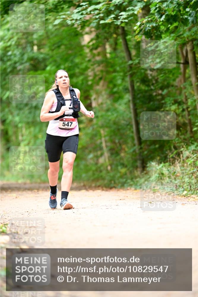 11.10.2026 - Bramfelder Halbmarathon 2026 Dr. Thomas Lammeyer http://msf.ph/oto/10829547 11.10.2026 11:10:57 Laufen 547 meine-sportfotos.de