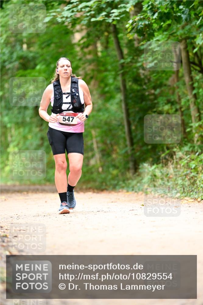11.10.2026 - Bramfelder Halbmarathon 2026 Dr. Thomas Lammeyer http://msf.ph/oto/10829554 11.10.2026 11:10:58 Laufen 547 meine-sportfotos.de