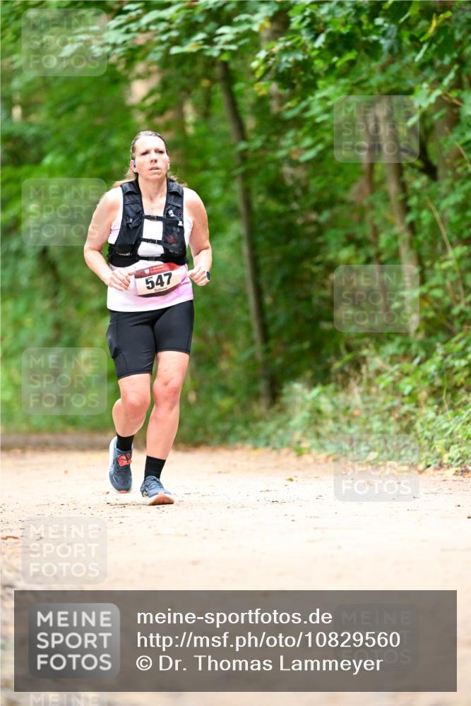 11.10.2026 - Bramfelder Halbmarathon 2026 Dr. Thomas Lammeyer http://msf.ph/oto/10829560 11.10.2026 11:10:58 Laufen 547 meine-sportfotos.de