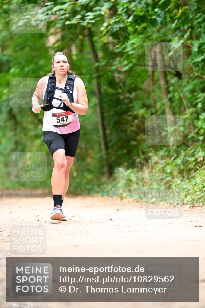 11.10.2026 - Bramfelder Halbmarathon 2026 Dr. Thomas Lammeyer http://msf.ph/oto/10829562 11.10.2026 11:10:58 Laufen 547 meine-sportfotos.de