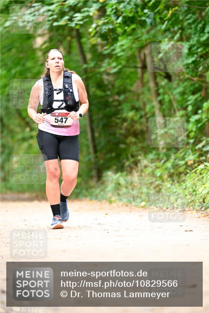 11.10.2026 - Bramfelder Halbmarathon 2026 Dr. Thomas Lammeyer http://msf.ph/oto/10829566 11.10.2026 11:10:59 Laufen 547 meine-sportfotos.de
