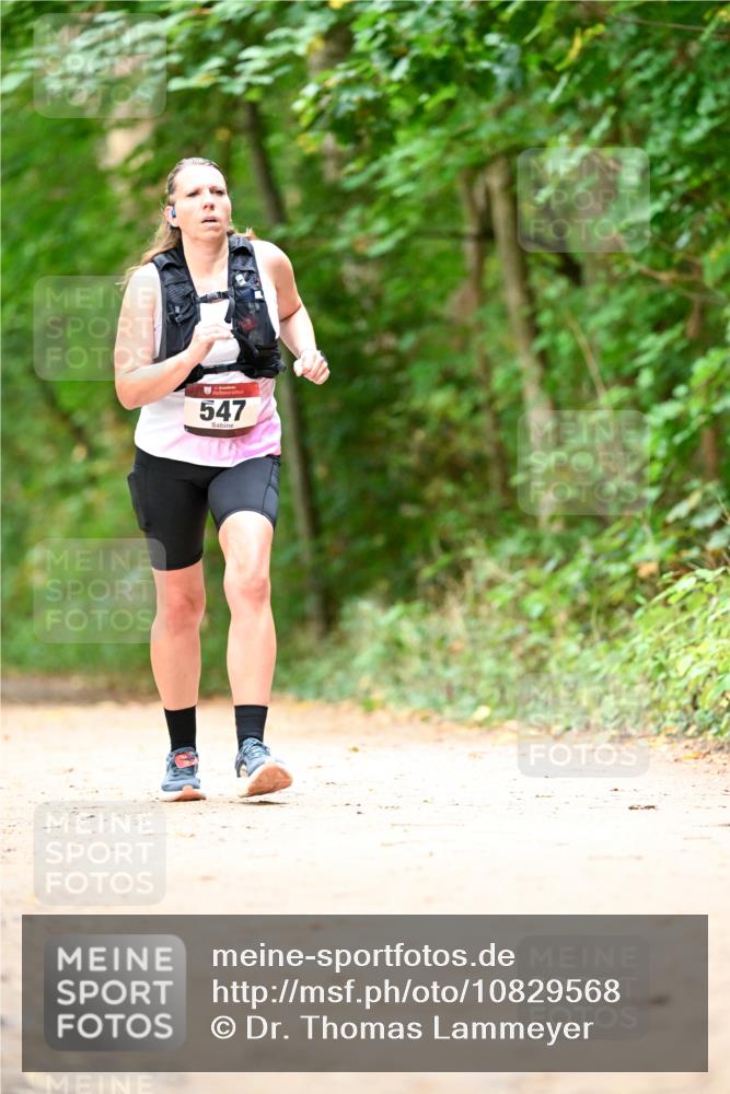 11.10.2026 - Bramfelder Halbmarathon 2026 Dr. Thomas Lammeyer http://msf.ph/oto/10829568 11.10.2026 11:10:59 Laufen 547 meine-sportfotos.de