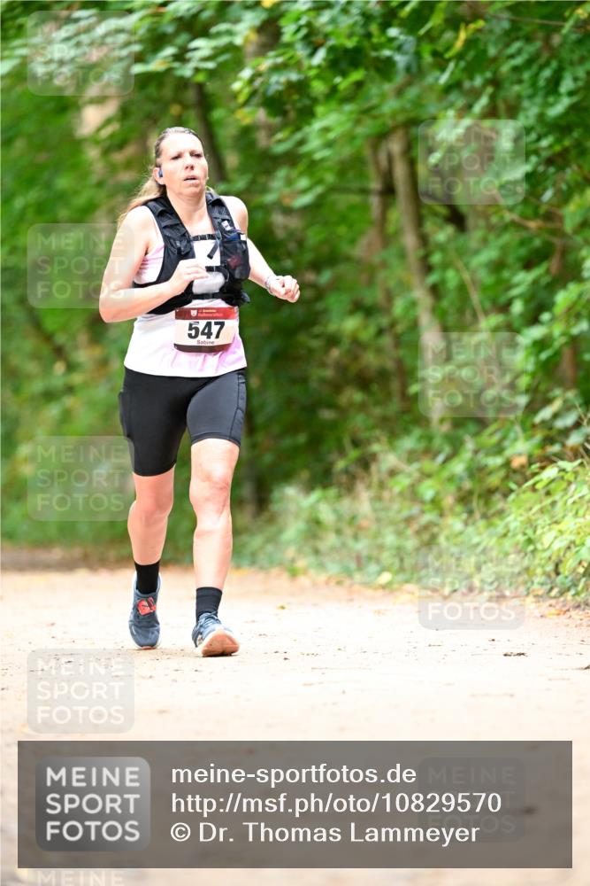 11.10.2026 - Bramfelder Halbmarathon 2026 Dr. Thomas Lammeyer http://msf.ph/oto/10829570 11.10.2026 11:10:59 Laufen 547 meine-sportfotos.de