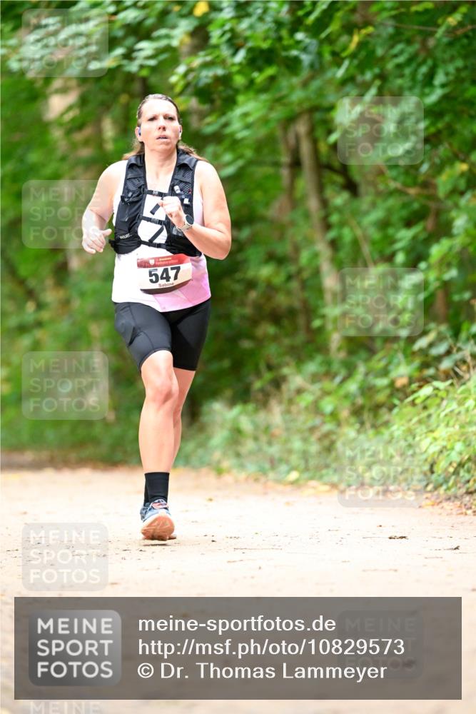 11.10.2026 - Bramfelder Halbmarathon 2026 Dr. Thomas Lammeyer http://msf.ph/oto/10829573 11.10.2026 11:10:59 Laufen 547 meine-sportfotos.de