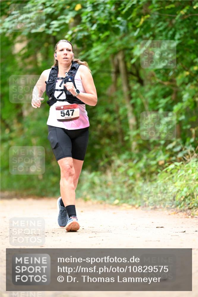 11.10.2026 - Bramfelder Halbmarathon 2026 Dr. Thomas Lammeyer http://msf.ph/oto/10829575 11.10.2026 11:10:59 Laufen 547 meine-sportfotos.de