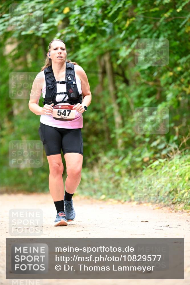 11.10.2026 - Bramfelder Halbmarathon 2026 Dr. Thomas Lammeyer http://msf.ph/oto/10829577 11.10.2026 11:10:59 Laufen 35, 547 meine-sportfotos.de