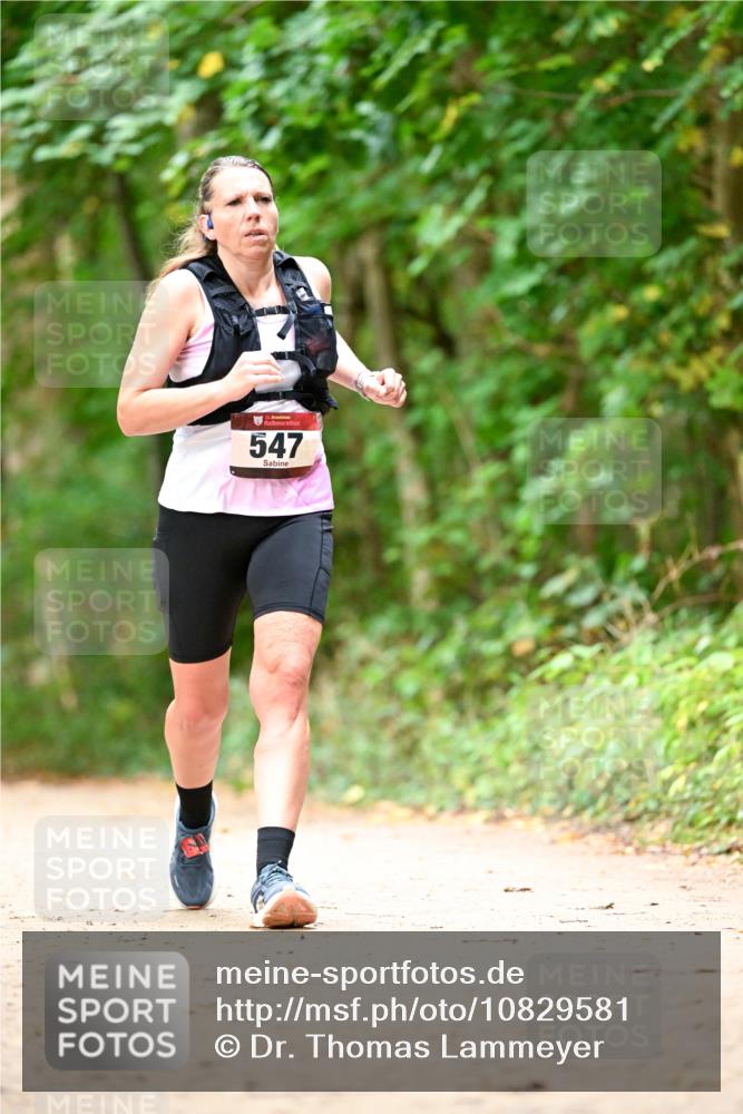 11.10.2026 - Bramfelder Halbmarathon 2026 Dr. Thomas Lammeyer http://msf.ph/oto/10829581 11.10.2026 11:11:00 Laufen 5, 547 meine-sportfotos.de