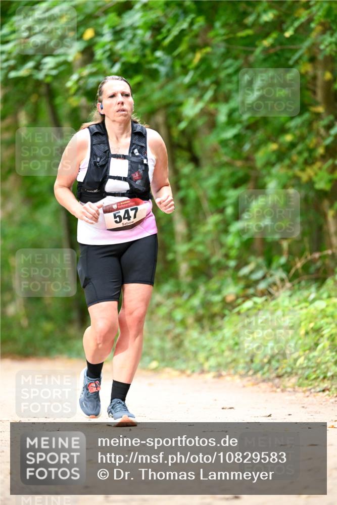 11.10.2026 - Bramfelder Halbmarathon 2026 Dr. Thomas Lammeyer http://msf.ph/oto/10829583 11.10.2026 11:11:00 Laufen 547 meine-sportfotos.de