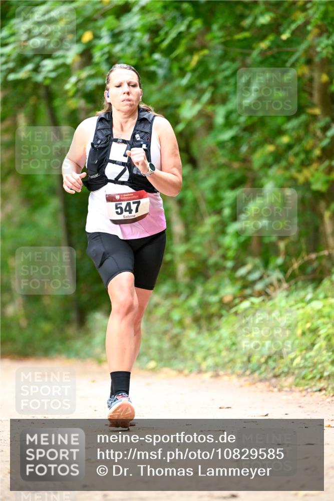 11.10.2026 - Bramfelder Halbmarathon 2026 Dr. Thomas Lammeyer http://msf.ph/oto/10829585 11.10.2026 11:11:00 Laufen 547 meine-sportfotos.de